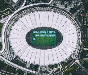 蝶泳名将再创世界纪录，泳坛新星闪耀国际赛场